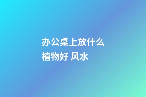 办公桌上放什么植物好 风水